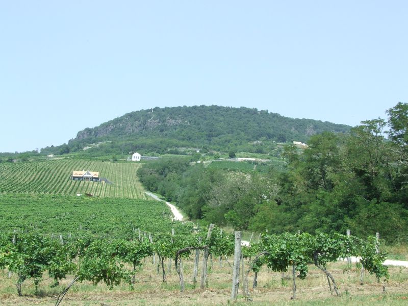 Cikkek k&eacute;pei: sob-2012-szokolaisandormiklos-04.jpg